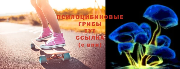 мдма Снежногорск