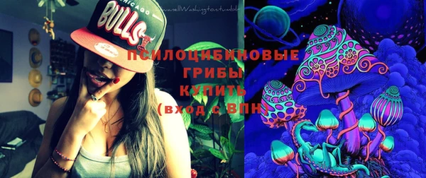 прущие грибы Алексин