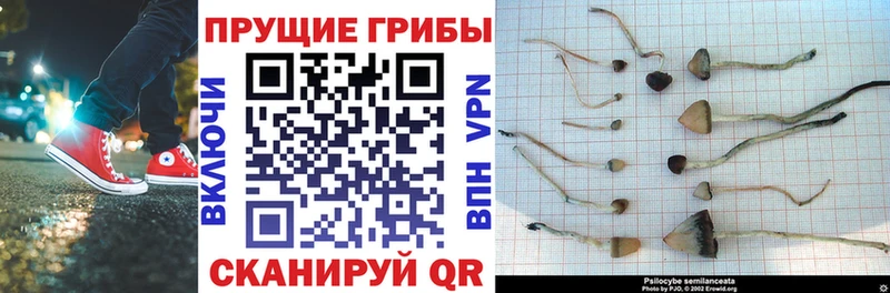 kraken маркетплейс  Берёзовский  Галлюциногенные грибы ЛСД 